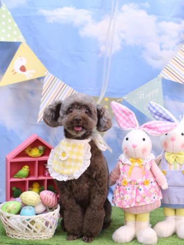 20240331モカくん